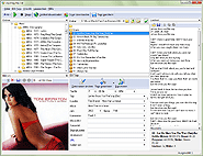 mp3Tag Pro