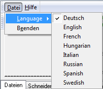 Interfacesprache