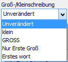 Groß-/Kleinschreibung